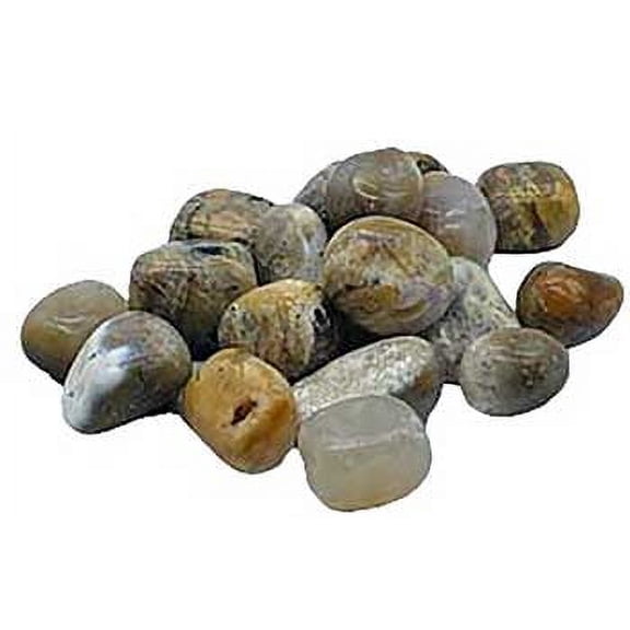 1 lb Agate, Dendritic tumbled | Trending Now