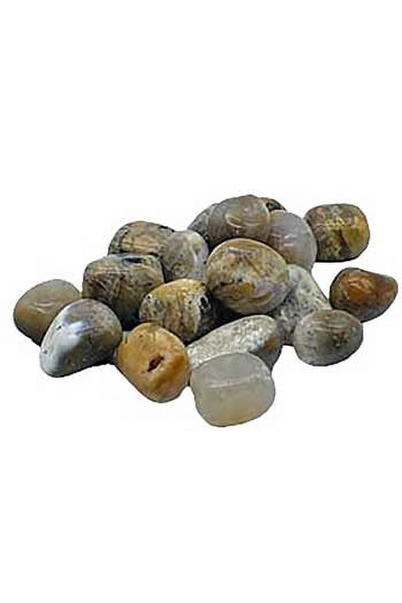 1 lb Agate, Dendritic tumbled | Trending Now