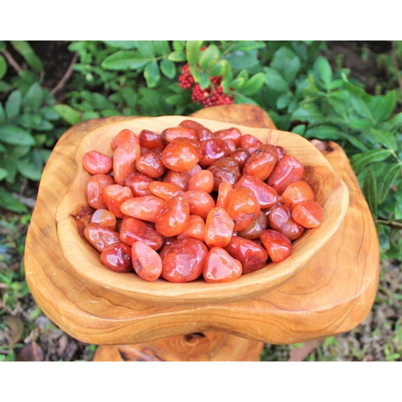 1 lb Bulk Lot Carnelian Tumbled Stones, Medium (Crystal Healing) US Seller 16 oz