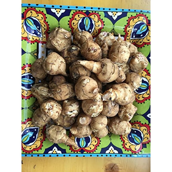 1 lb Jerusalem Artichokes (Sunchokes) -- Edible Rhizomes for Planting or Eating
