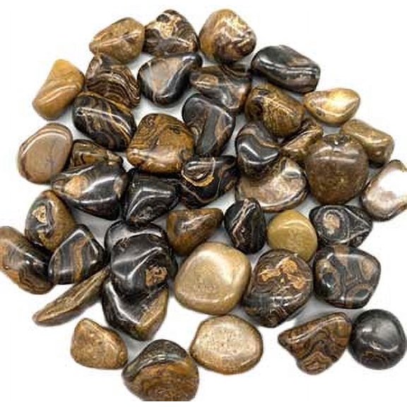 1 lb Stromatolite (onyx Brown) tumbled stones | Trending Now