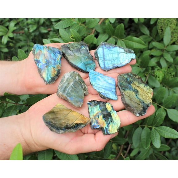 1 lb Wholesale Lots Natural Labradorite Slab / Slice Polished Face 8 - 14 Peices