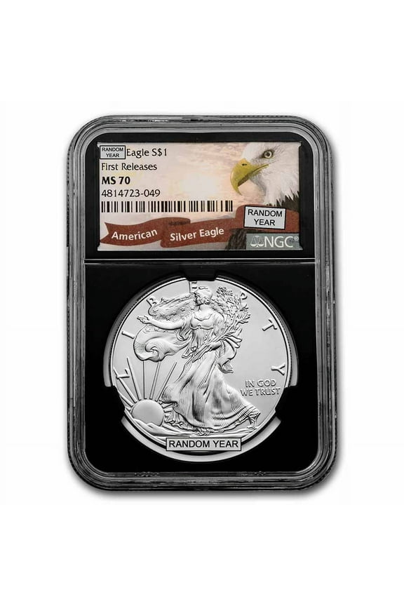 1 oz American Silver Eagle MS-70 NGC (Random Year, ER/FR)