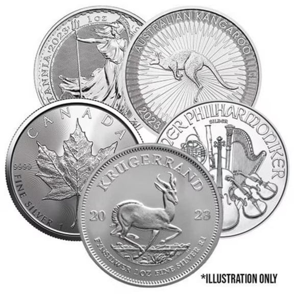 1 oz Circulated Silver Coin - .999 Fine Silver (Random Mint, Year & Condition)