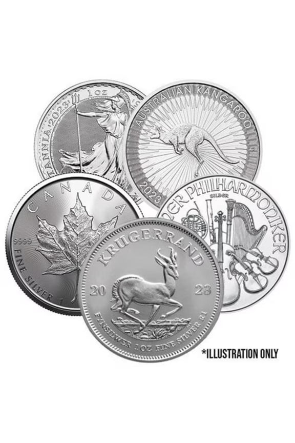 1 oz Circulated Silver Coin - .999 Fine Silver (Random Mint, Year & Condition)