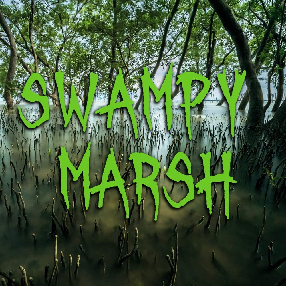 1 oz. Swampy Marsh Water Based Scent Additive for Fog, Haze, Snow