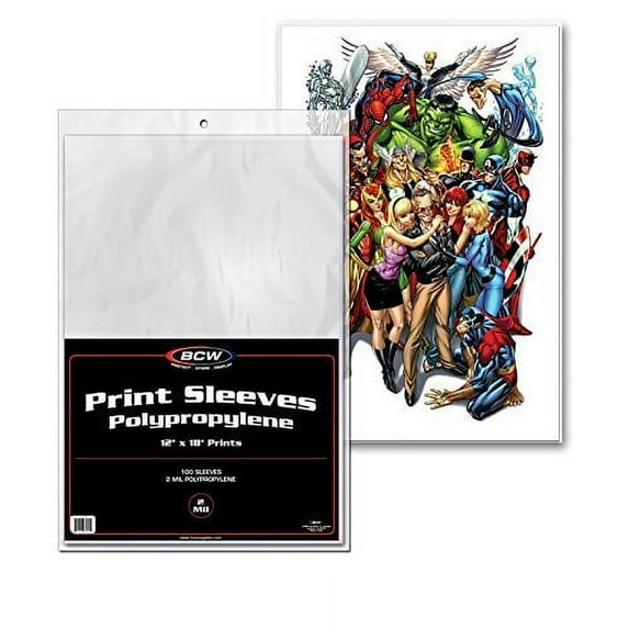 1 pack of 100 BCW 12" x 18" Photo Print Sleeves