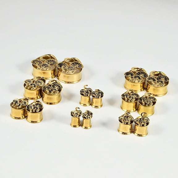 1 pc 304 Stainless Steel Ear Plugs Gauges Teardrop Mushroom Tunnel Ear Expander for Men Women Golden 16mm