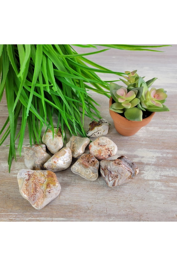 1 pc Crazy Lace Agate Stone Tumbled 1"