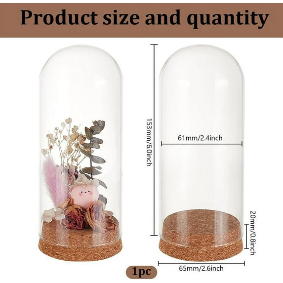 1 pc Glass Display Dome Cloche 2.56x6.02 Inch Cloche Bell Jar Terrarium with Cork Base Decorative Display Dome Case for Plants Flower Christmas Display Decoration Clear 1 pc