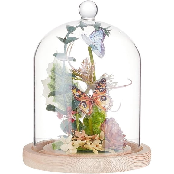 1 pc Glass Dome Cover Decorative Display Case Cloche Bell Jar Terrarium with Wood Base Round 140x195mm