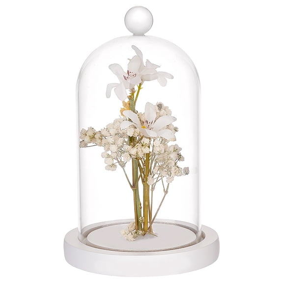 1 pc Glass Dome Cover Decorative Display Case Cloche Bell Jar Terrarium with Wood Base White 113x180mm