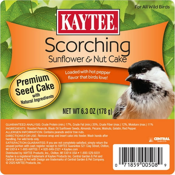 Kaytee Scorching Sunflower & Nut Cake 6.3 Ounces (Pack of 12)
