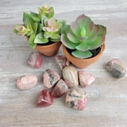 Crystal Joys 1 pc Rhodochrosite Tumbled 1
