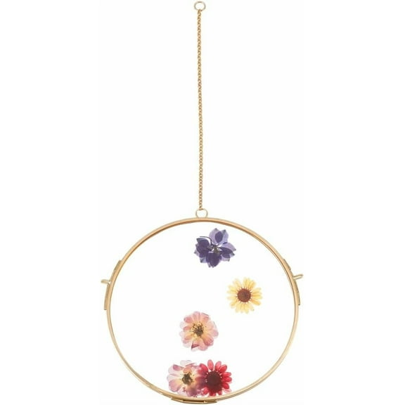 1 pc Round Hanging Glass Frame 5.9 Inch Wall Hanging Brass Floating Frame Double Glass Picture Frame with Chain DIY Artwork Display Frames