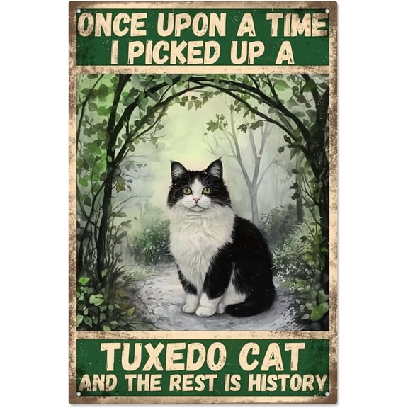 1 pc Vintage Metal Tin Sign Iron Wall Decor Restaurants Cafe Pubs Rectangle Cat Shape 300x200x2.2mm creative