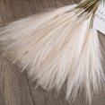 thumbnail image 1 of 1 pcs 19inch Grass Decor Natural Dried Pampas Grass,Fluffy Dried Flowers for Home Decor Wedding Boho Decor, 1 of 6