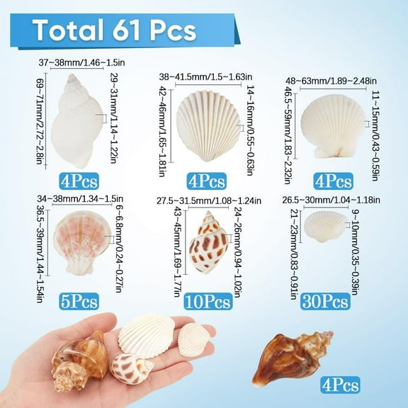 1 set Natural Spiral Shell DIY Decorative Craft Material for Vase Filler Beach Theme Party Mixed color 21~73x26.5~63x6~31mm