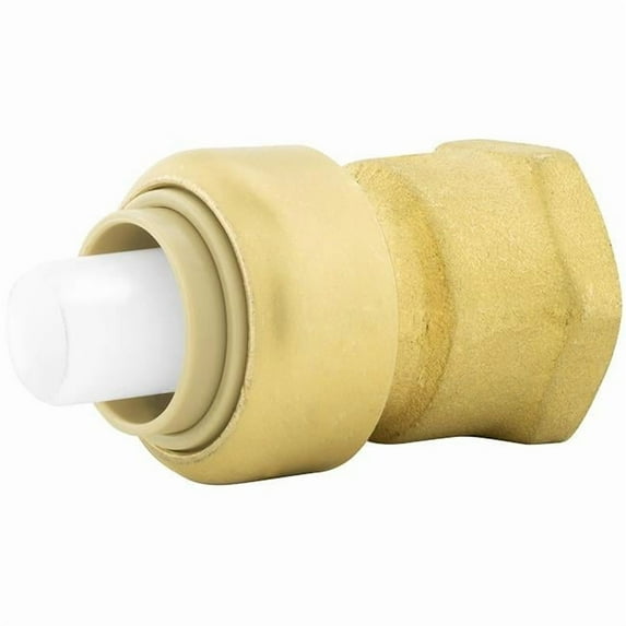 1 x 1 in. MPT Bagged PlumBite Push on Adapter,
