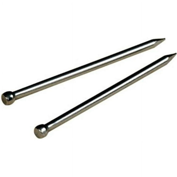 1 x 17 in. Zinc Zinc Bright Wire Brads Fas-Pak