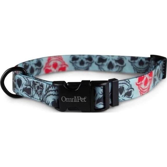 1 x 18 x 26 in. Attitudz Skull Biothane Dog Collar