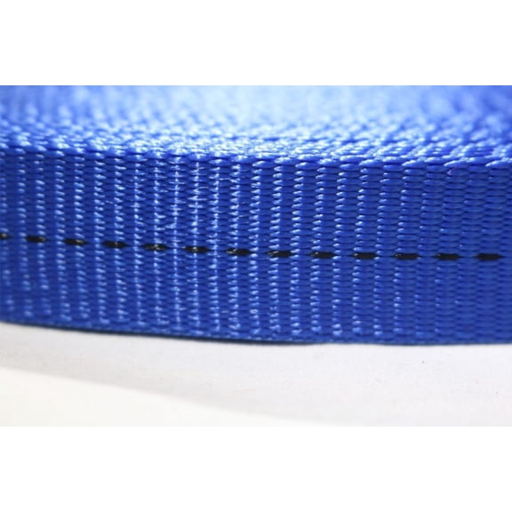 1" x 4 Ft Endless Ratchet Strap 2 PACK | R104END Color: Blue