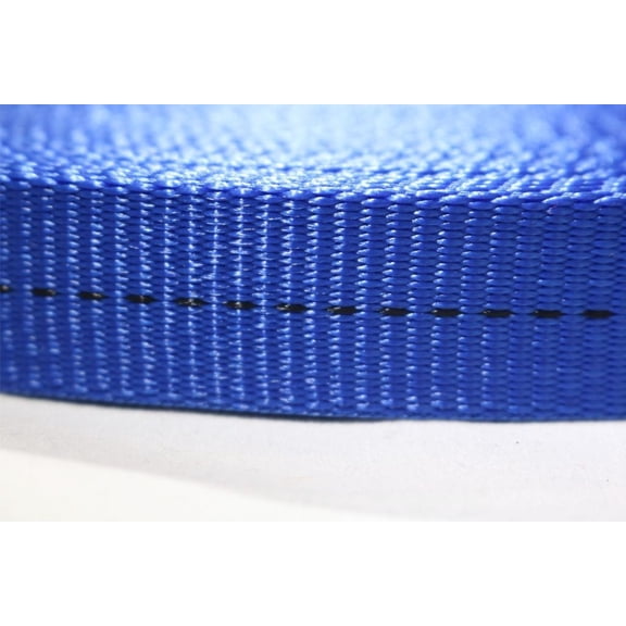 1" x 4 Ft. Endless Ratchet Strap | R104END Color: Blue