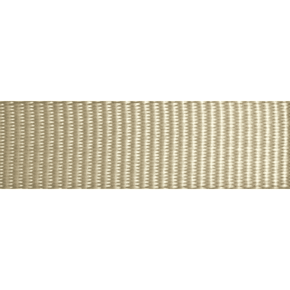 1" x 4 Ft. Endless Ratchet Strap | R104END Color: Tan
