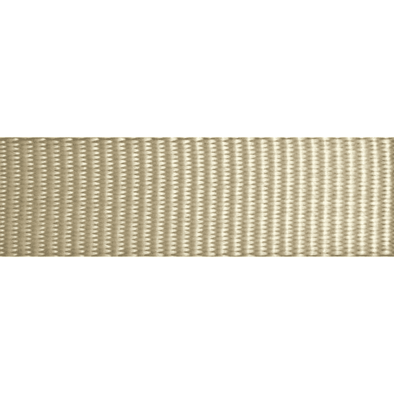 1" x 4 Ft. Endless Ratchet Strap | R104END Color: Tan