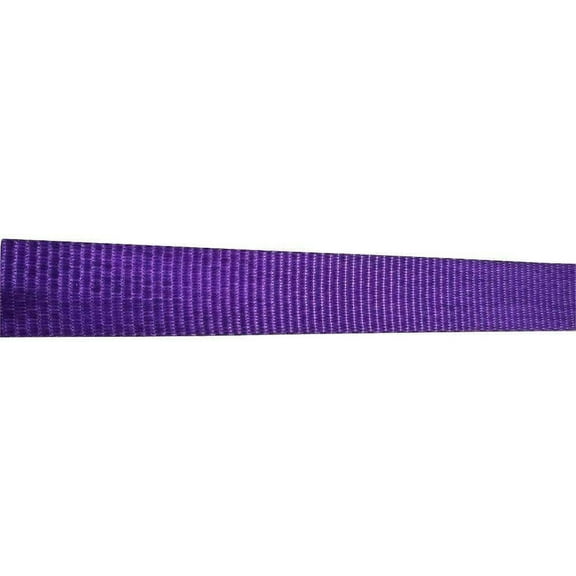 1" x 4 Ft Endless Ratchet Strap 4 PACK | R104END Color: Purple