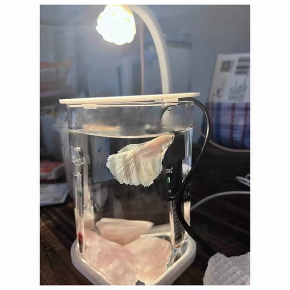 1 x Glass fish tank 1 x Charging cable-As Shown