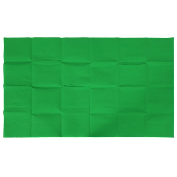 1 x Photography Background-Green