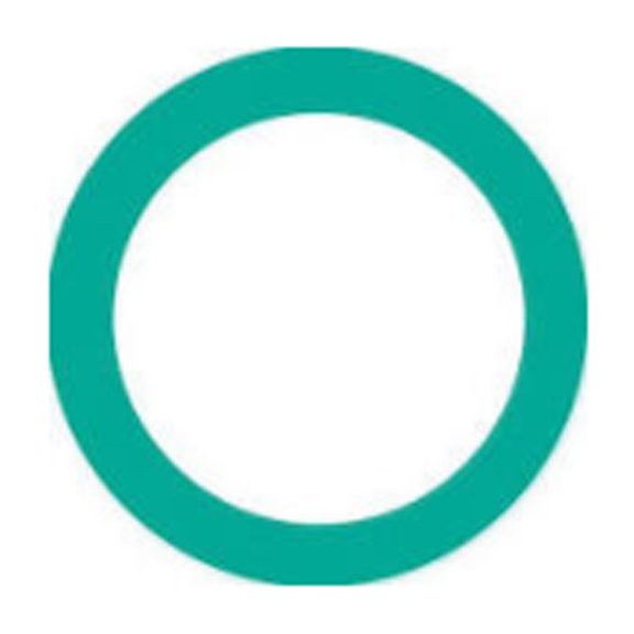 10 = 1 PACK OF 10; O'RING