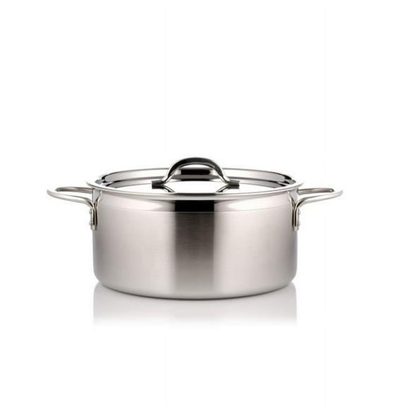 10.12 in. dia. Country French Two Tone Stainless Steel 5 quart Pot with Cover & 2 Round Handles - 22 oz
