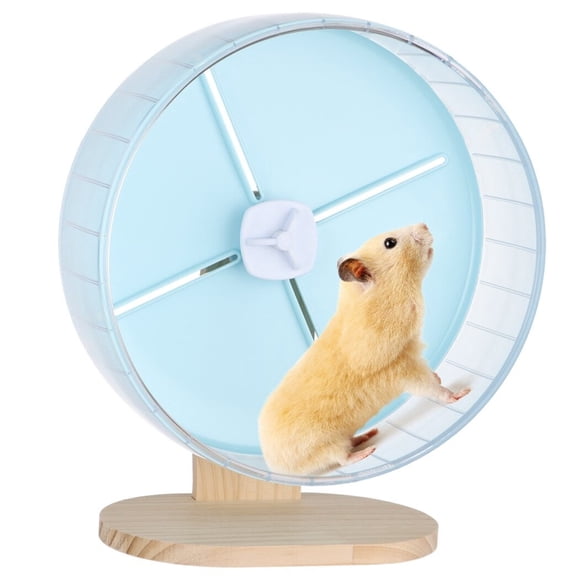 Photo inspiration: Visual Reference: Hamster Toys In Hamsters