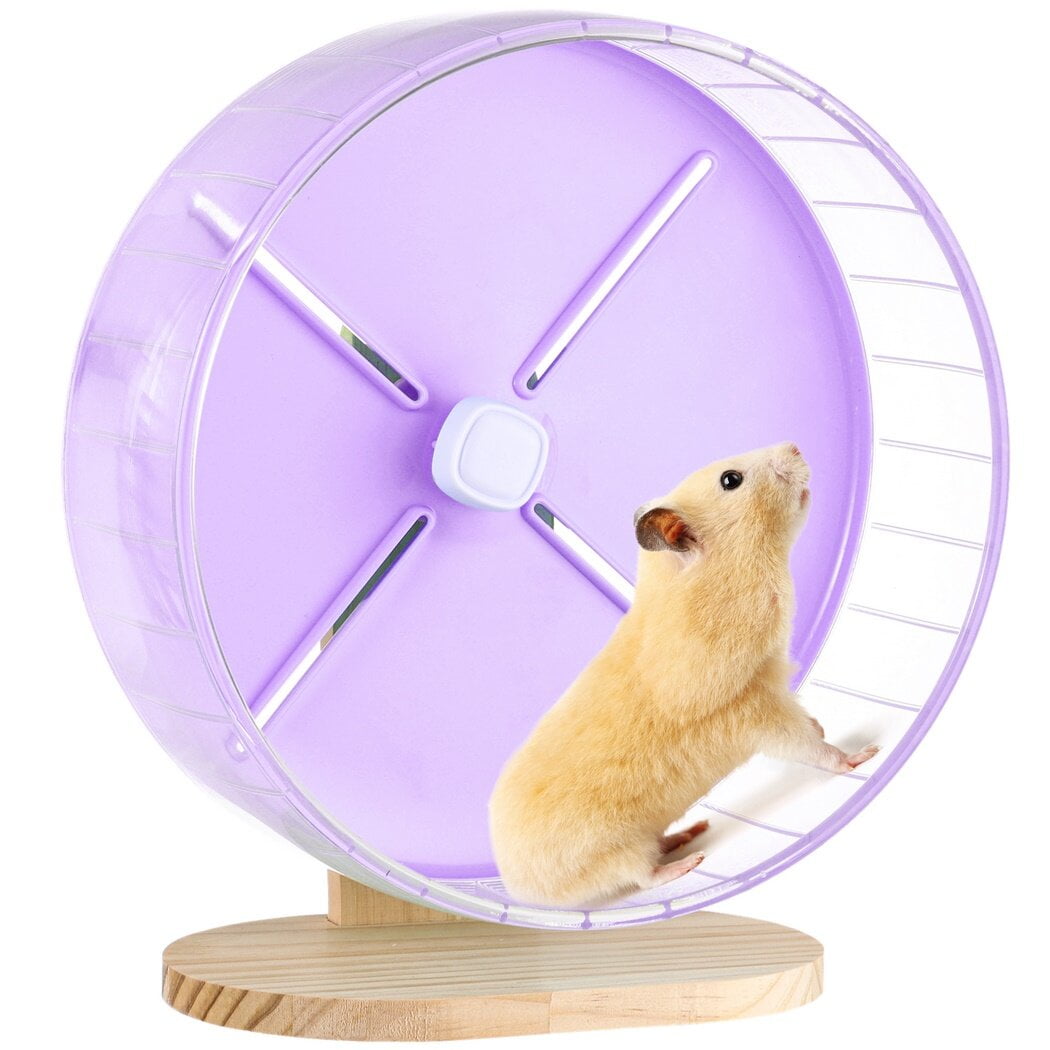 10.2" Hamster Wheel with Stand, Silent Hamster Running Wheel