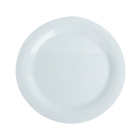 10.2 Inch Wheat Straw Dinner Plates, 1 Pack Unbreakable Sturdy Plastic Reusable Plate, Microwave and Dishwasher Safe PP Plates, Lightweight Dinner Plates, Non-Toxic, BPA Free,Ice