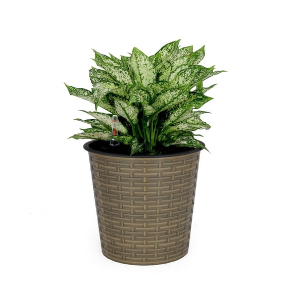 10.2" Self-watering Wicker Decor Planter for Indoor and Outdoor - Round - Natural