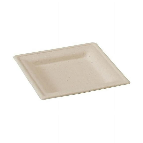 10.2 x 10.2 in. Square Sugarcane Plate, Brown