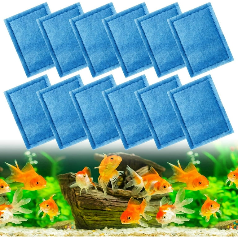Changing aquarium filter shop