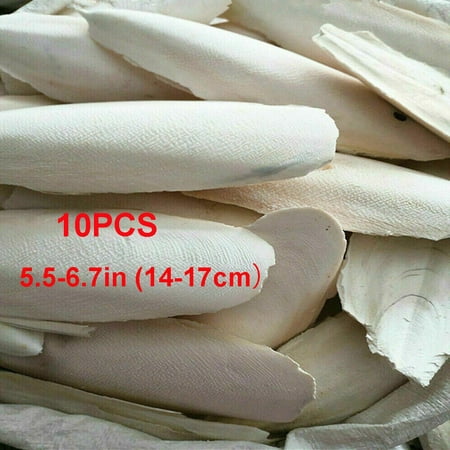 10/20PCS Cuttlebone Cuttlefish Bone Sepia Cuttle Fish Pet Bird Food Calcium Set