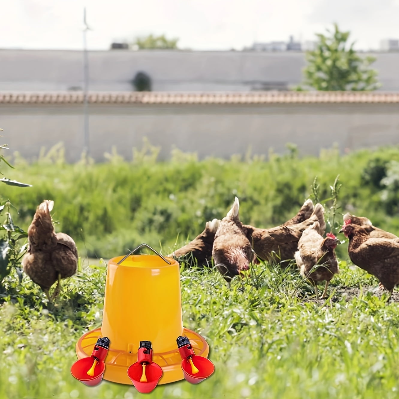 10/20pcs Deluxe Automatic Chicken Water Cups Poultry Waterer Drinkers