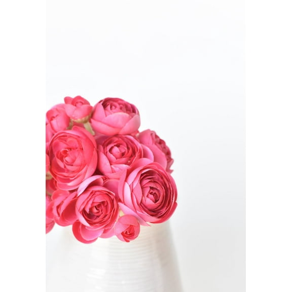Allstate Floral & Craft FSR125-BT 10 in. Silk Mini Ranunculus Flower Stem Bundle X6, Beauty - Pack of 12