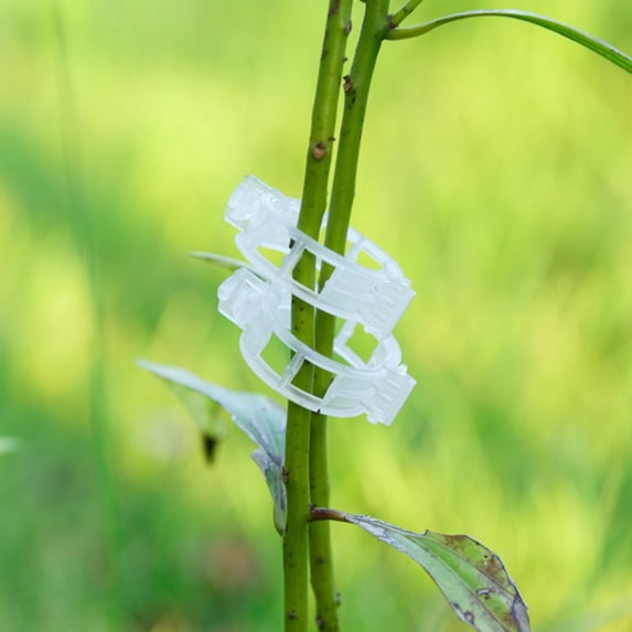 10/50/100Pcs Plant Support Clips Durable Vine Garden Vegetables 3cm For Types Plants Hanging Plastic Clips Plant Support