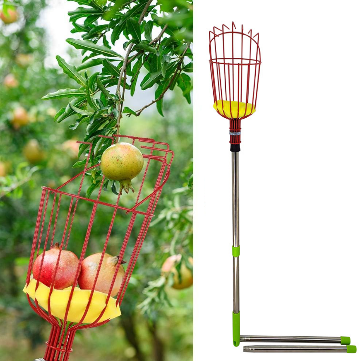 10.5FT Fruit Picker Tool, Fruit Picker Pole Tool with LightWeight