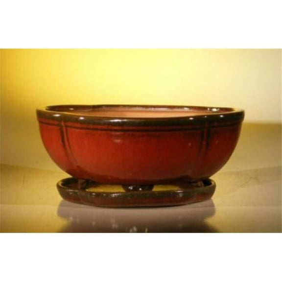 10.75 x 8.5 x 4.125 in. Professional Series Parisian Red Ceramic Bonsai Pot with Attached Humidity & Drip Tray, Oval & Lotus