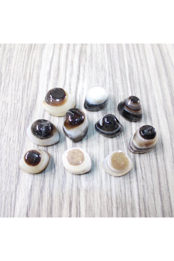 10 Agate Eyes   #0049 Naturally Formed