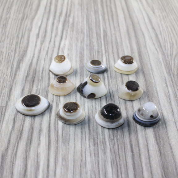 10 Agate Eyes   #6643 Naturally Formed