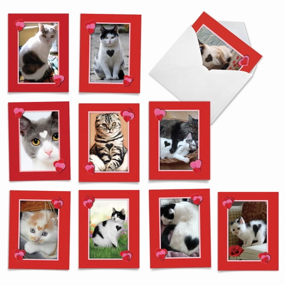 10 All Occasion Blank Note Cards Assorted (4 x 5.12 Inch) - Heartfelt Cats M5658OCB-B1x10