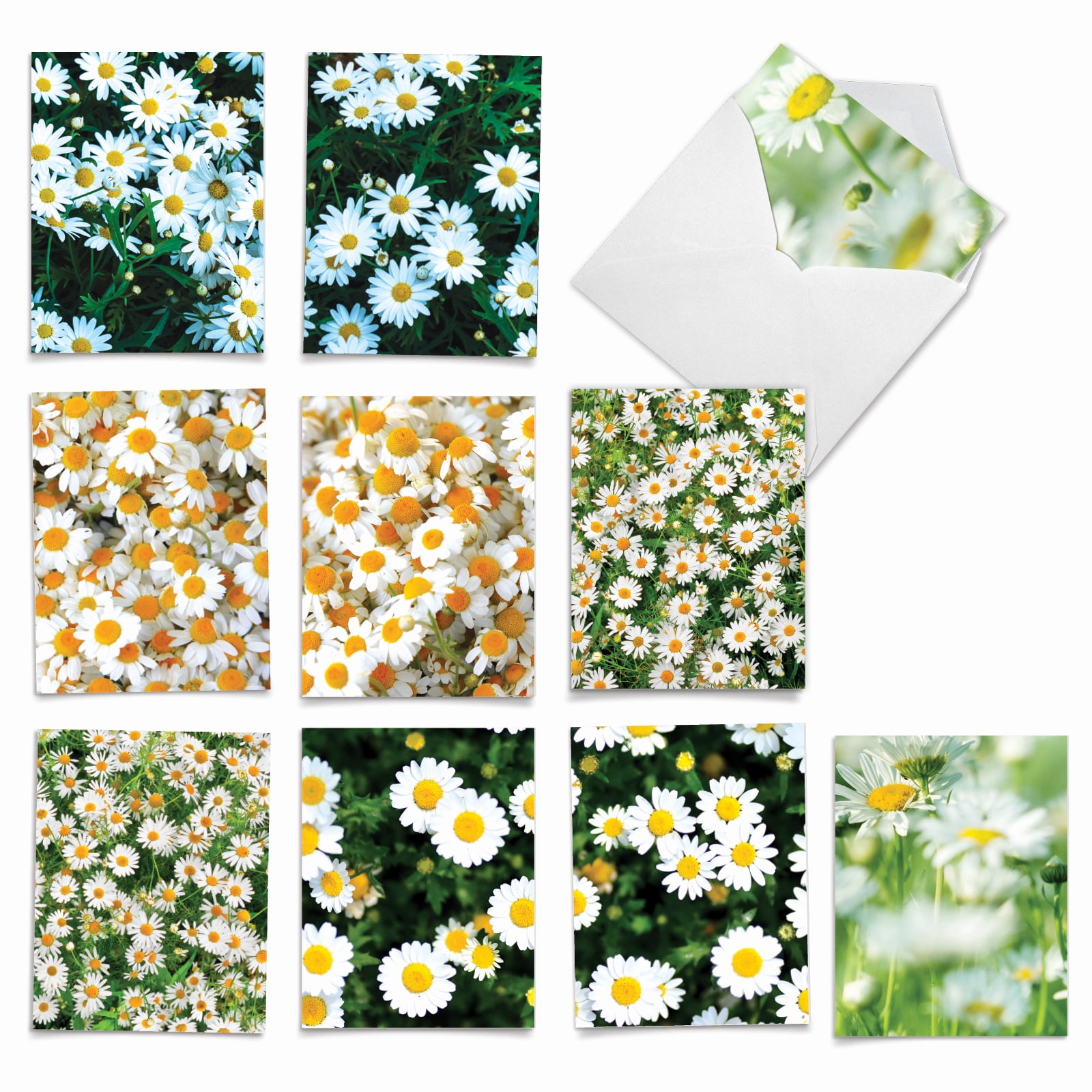 10 All Occasion Blank Note Cards Assorted (4 x 5.12 Inch) - OOPSY ...